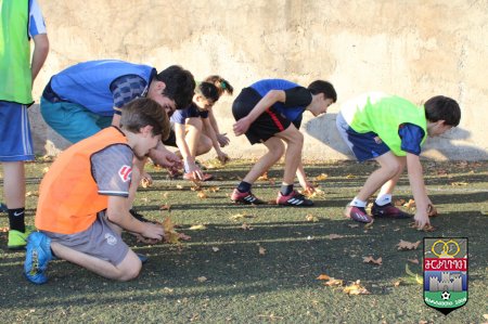 გარემოს დაცვის პოლიტიკა