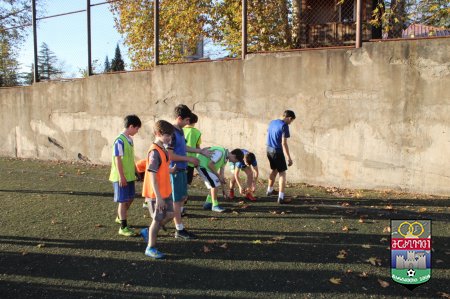 გარემოს დაცვის პოლიტიკა